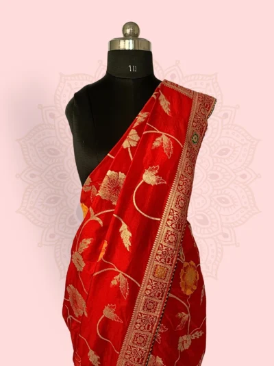 Banarasi Meenakari Red Motif Border